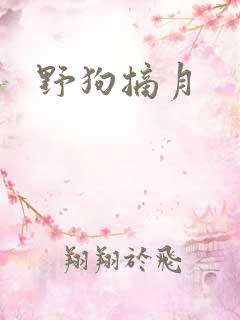 野狗摘月
