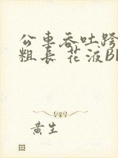 公车吞吐跨坐 粗长 花液BL