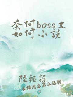 奈何boss又如何小说
