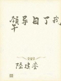 领导日了我一下午