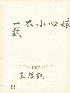 一不小心嫁给总裁