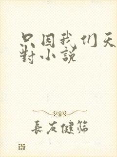 只因我们天生一对小说