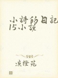 小诗的日记1一15小说