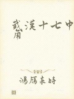 武汉十七中女主角