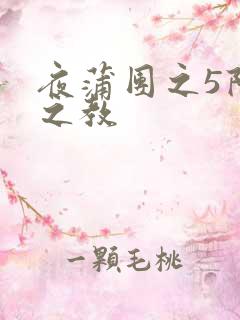 夜蒲团之5阳性之教
