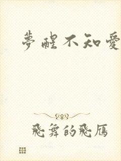 梦醒不知爱欢凉