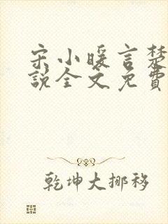 宋小暖言楚行小说全文免费阅读