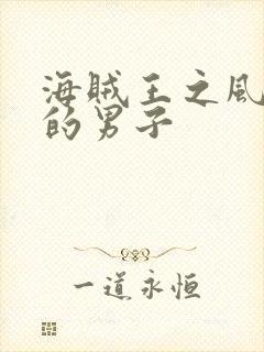 海贼王之风一样的男子