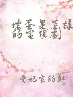 坏蛋是怎样炼成的电视剧