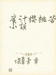 蜜汁樱桃苦咖啡小说