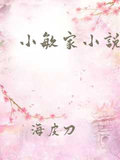 小敏家小说