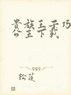 贵族王子巧遇穷公主下载