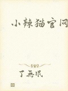 小辣猫官网