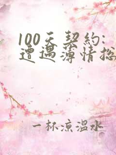100天契约:遭遇薄情总裁