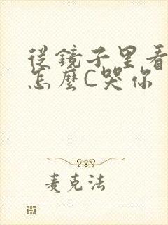 从镜子里看我是怎么C哭你