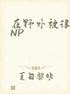 在野外被很多人NP