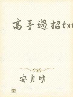 高手过招txt