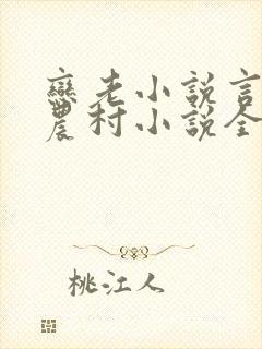 恋老小说言情网农村小说全文阅读