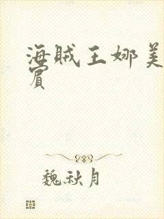 海贼王娜美h罗宾