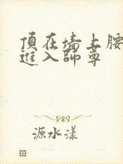 顶在墙上腰一沉进入师尊