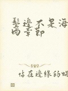 鬓边不是海棠红肉章节