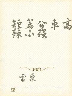 短篇公车高h肉辣小强