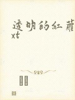 透明的红萝卜txt