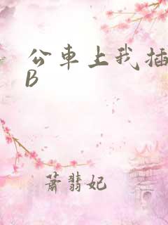 公车上我插上骚B