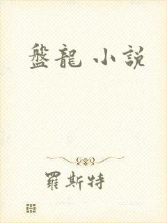 盘龙 小说