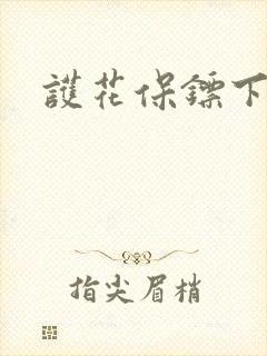 护花保镖下载