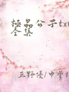 极品公子txt全集