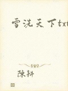雪洗天下txt