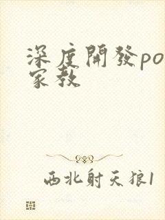 深度开发pop家教