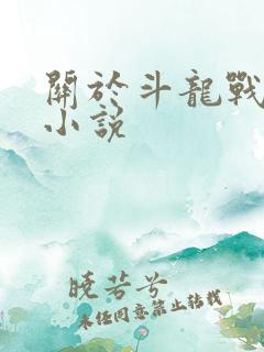 关于斗龙战士的小说