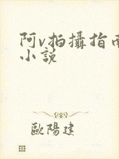 阿v拍摄指南说小说