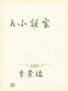 h小说家