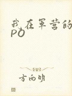 我在军营的日子PO
