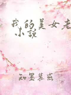 我的美女老婆们 小说