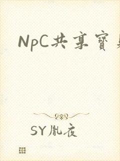 NpC共享宝贝