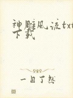 神雕风流txt下载