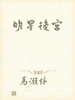 明星后宫