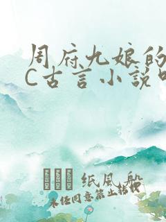 周府九娘的NPC古言小说叫什么