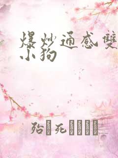 爆炒通感双胞胎小狗