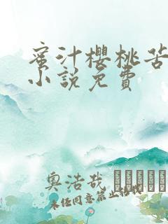 蜜汁樱桃苦咖啡小说免费