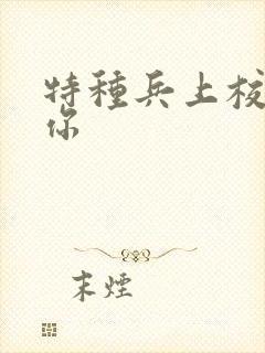 特种兵上校赖上你