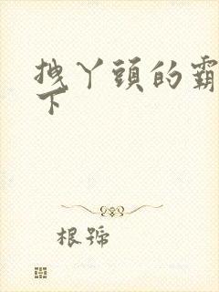 拽丫头的霸道殿下