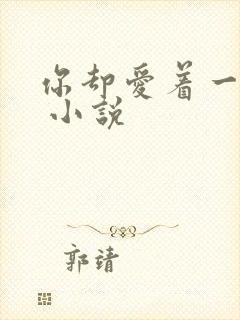 你却爱着一个他 小说