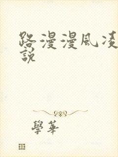 路漫漫风凌轩小说