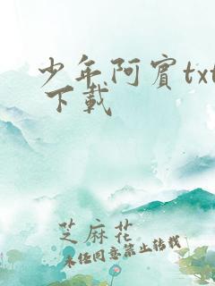 少年阿宾txt 下载