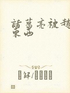 诸葛亮被赵云塞东西